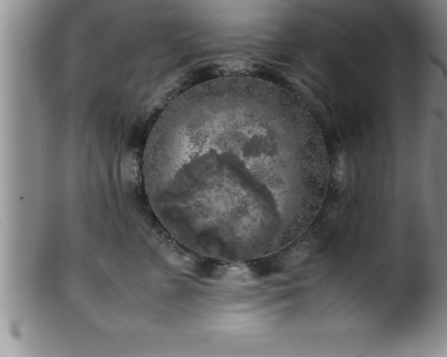 X0000099550715200805231151