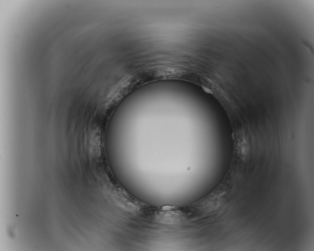 X0000099550716200805231151