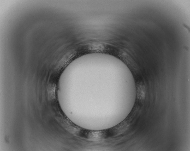 X0000099550717200805231151