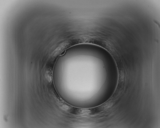 X0000099550719200805231151