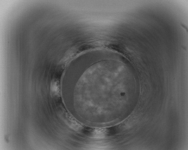 X0000099550720200805231151