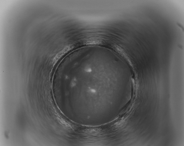 X0000099550721200805231150