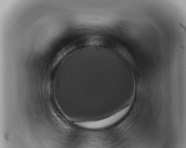 X0000099550722200805231150