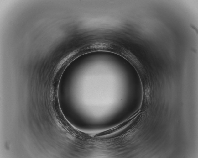 X0000099550724200805231150