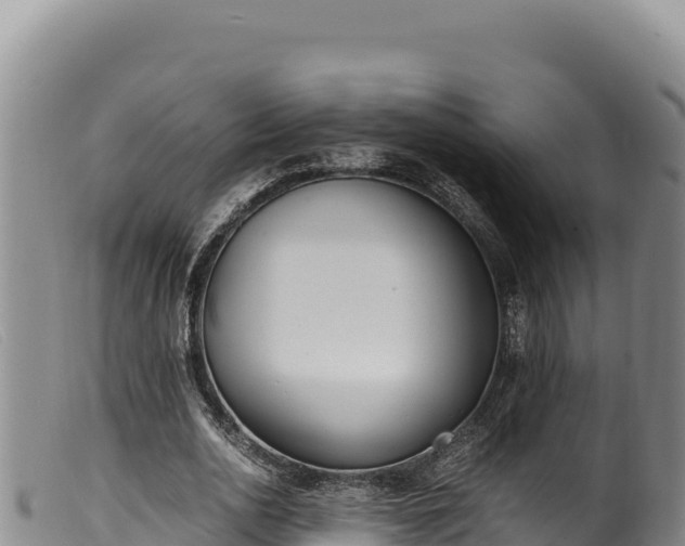 X0000099550726200805231150