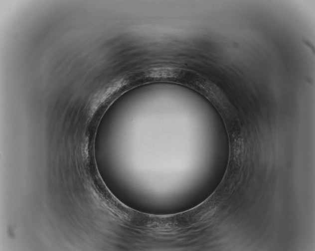 X0000099550727200805231150