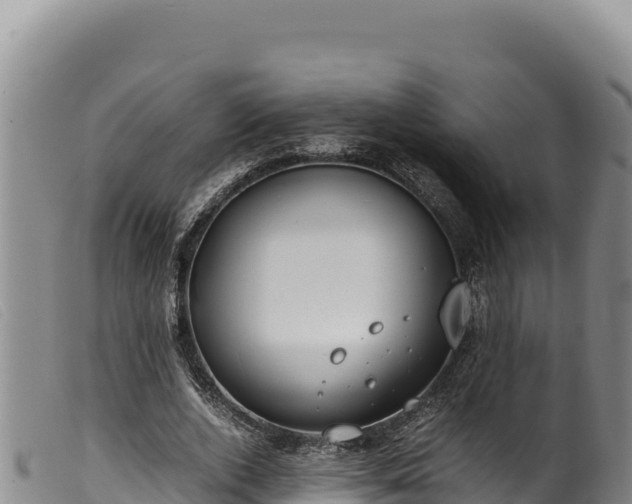 X0000099550728200805231150