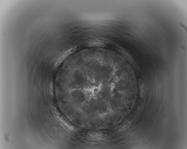 X0000099550729200805231150