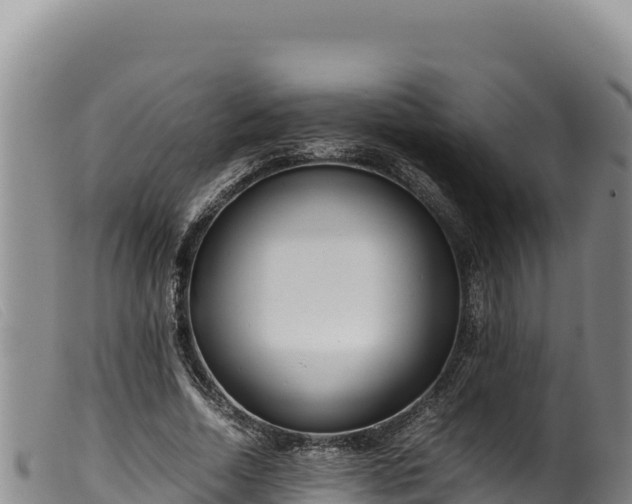 X0000099550730200805231150