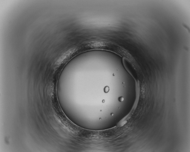 X0000099550732200805231150