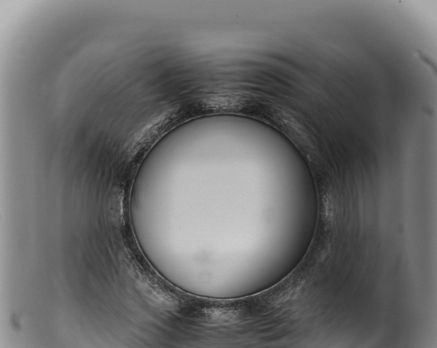 X0000099550733200805231150