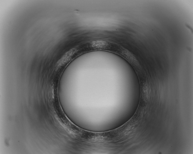 X0000099550734200805231150