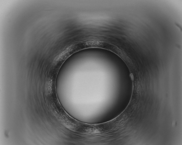 X0000099550735200805231150