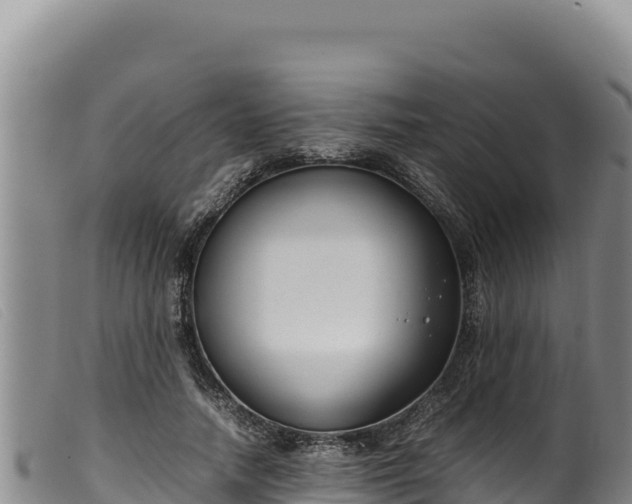 X0000099550738200805231150