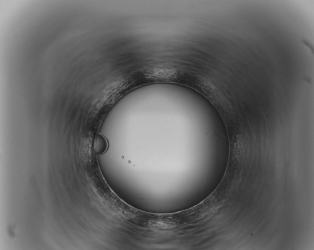 X0000099550739200805231150