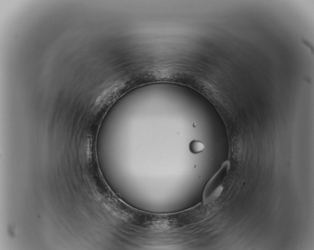 X0000099550740200805231150