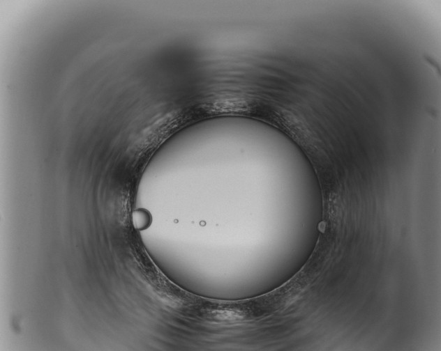 X0000099550741200805231150