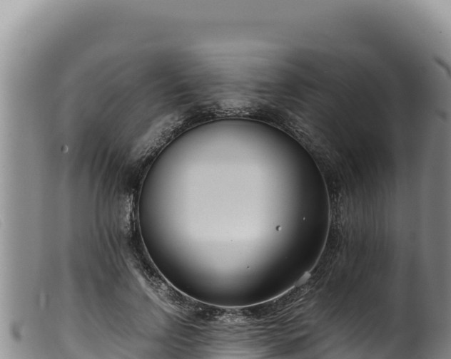 X0000099550742200805231150