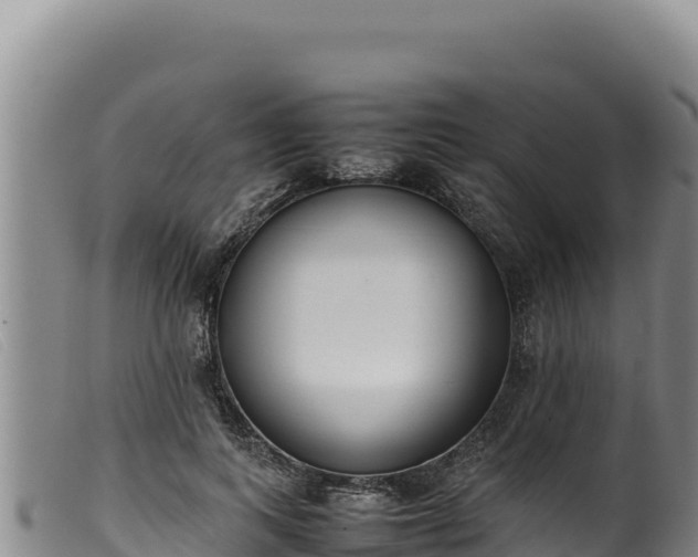 X0000099550743200805231150