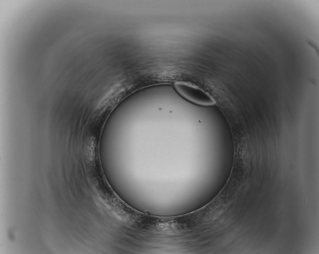 X0000099550744200805231150