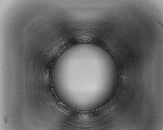 X0000099550745200805231150