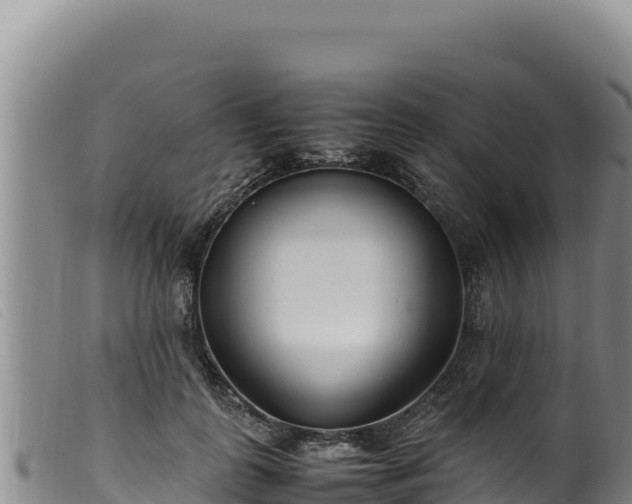 X0000099550747200805231150