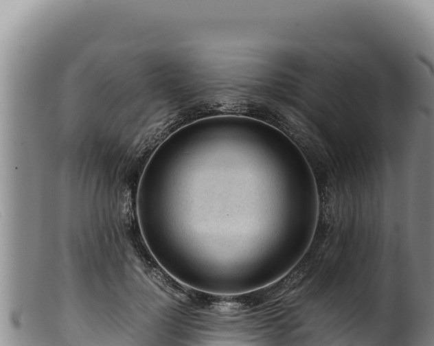 X0000099550748200805231150