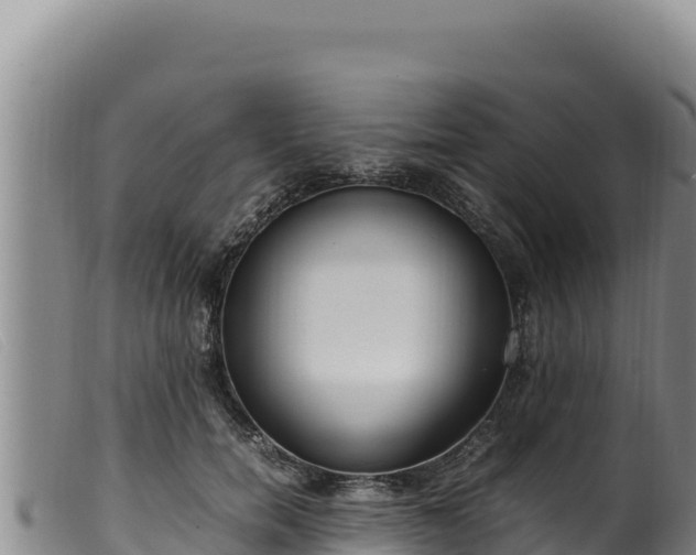 X0000099550750200805231150