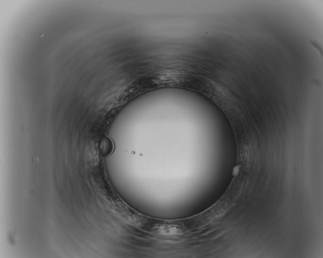 X0000099550751200805231150