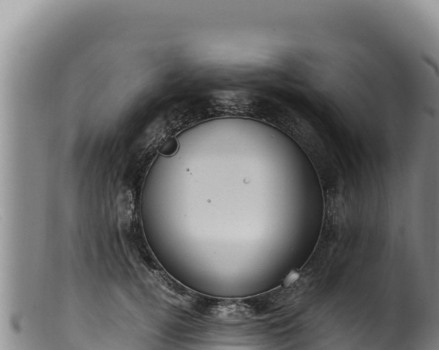 X0000099550752200805231150