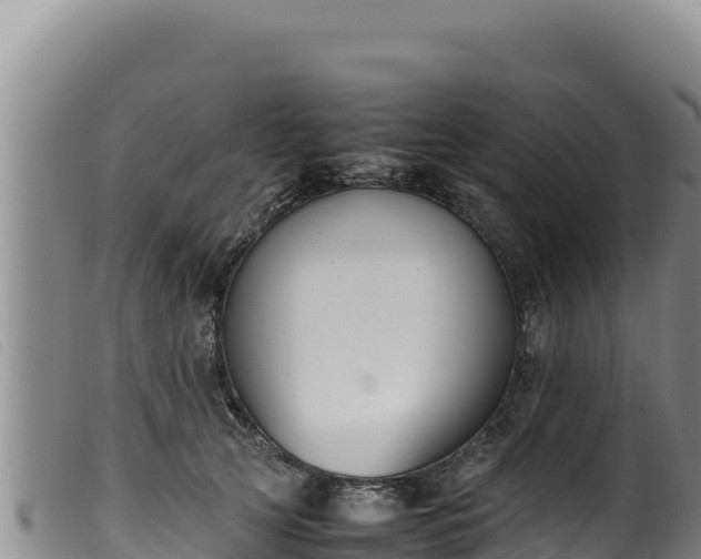 X0000099550753200805231151