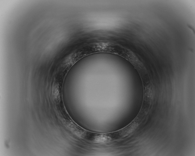 X0000099550754200805231151