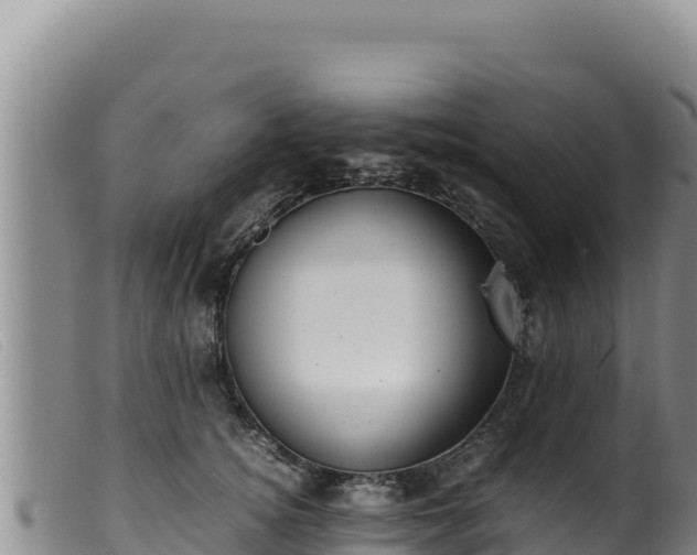 X0000099550756200805231151