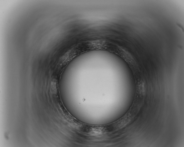 X0000099550757200805231151