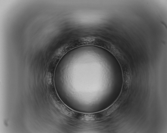 X0000099550758200805231151