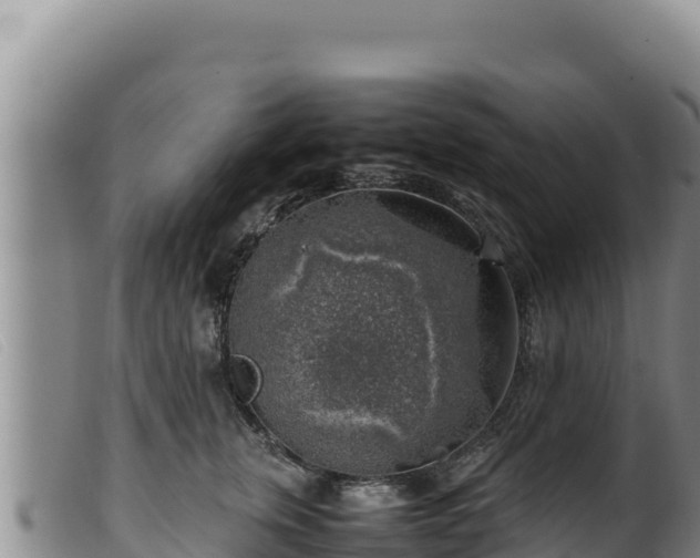 X0000099550759200805231151