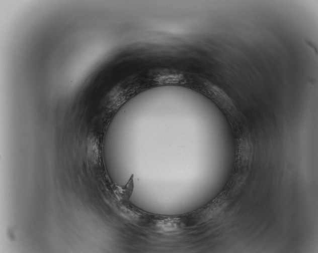 X0000099550761200805231151