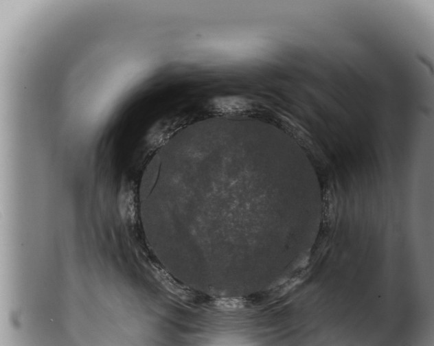 X0000099550762200805231151