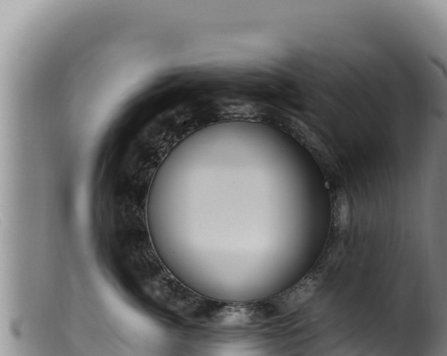 X0000099550764200805231151