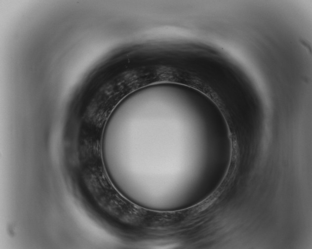 X0000099550765200805231151