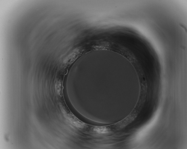 X0000099550767200805231151