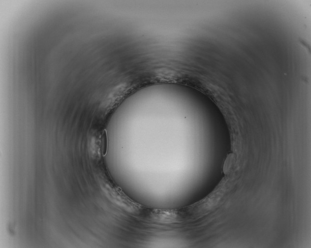 X0000099550768200805231151