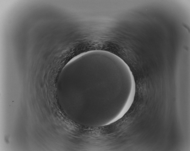 X0000099550769200805231150