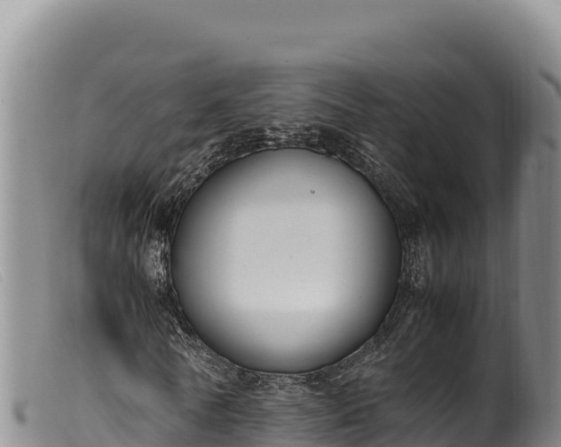 X0000099550770200805231150