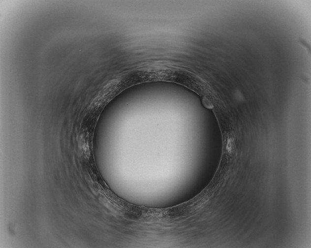 X0000099550771200805231150