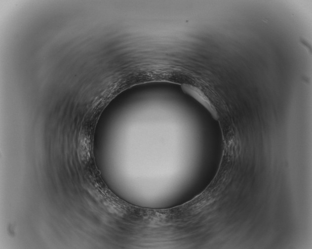 X0000099550772200805231150