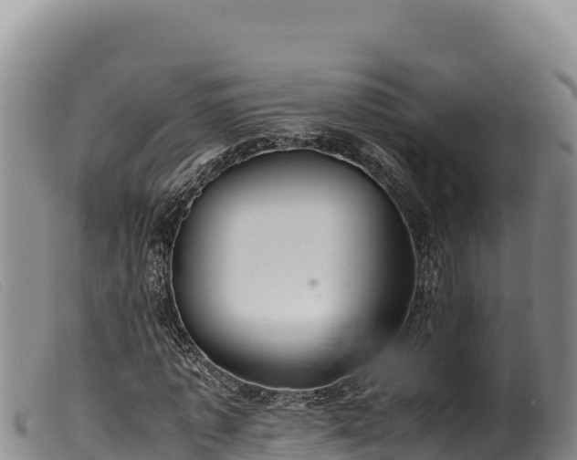 X0000099550773200805231150