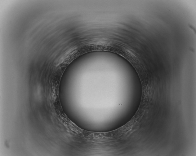 X0000099550774200805231150