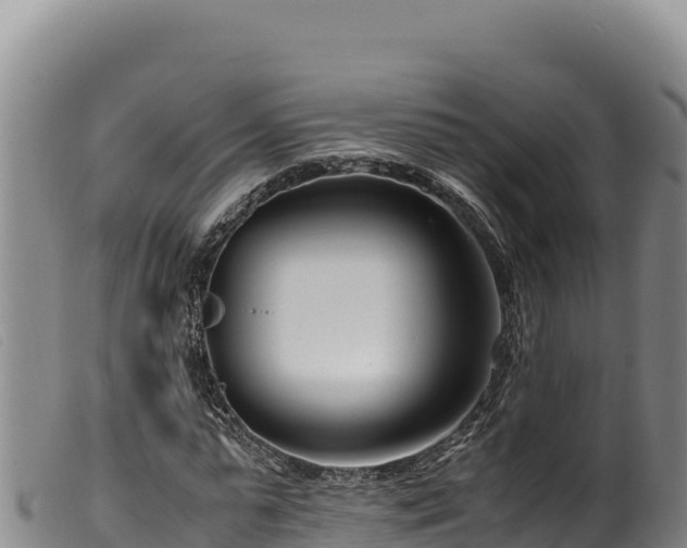 X0000099550775200805231150