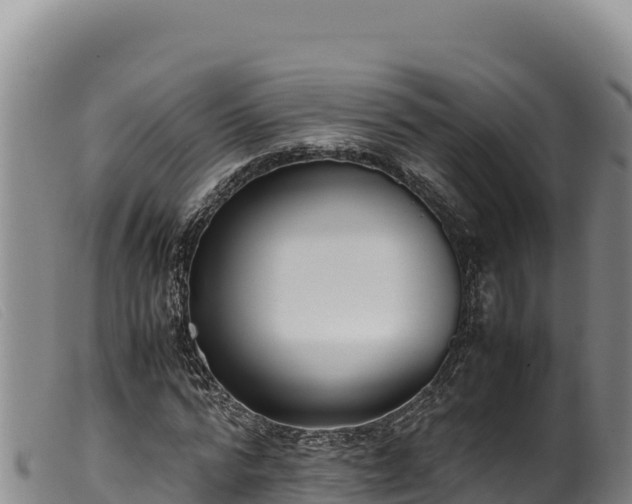 X0000099550776200805231150